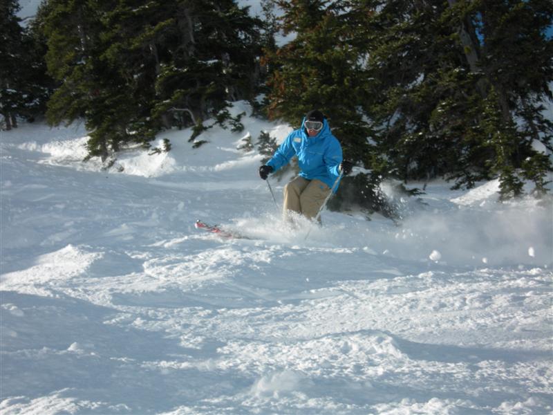 Ski action 1